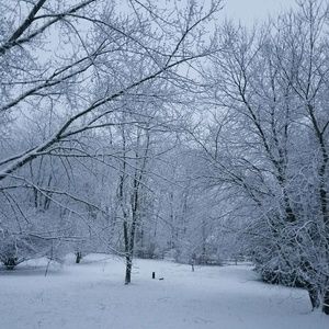 Meet your Posher, Anne